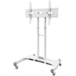 Zenlux Stand Max – Obrázok 5